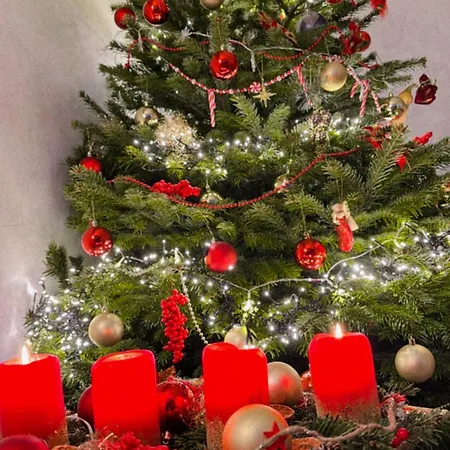 Exklusive In Homestay Starnberg